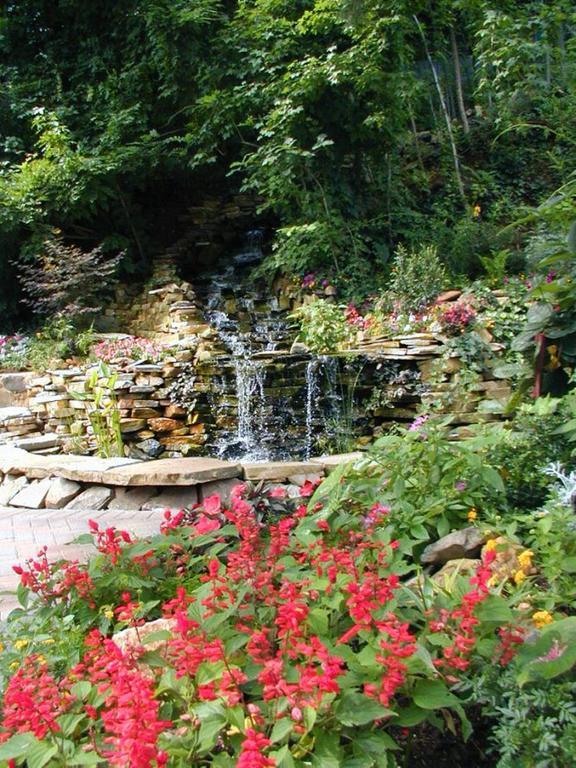 Black Forest Bed & Breakfast Helen Esterno foto